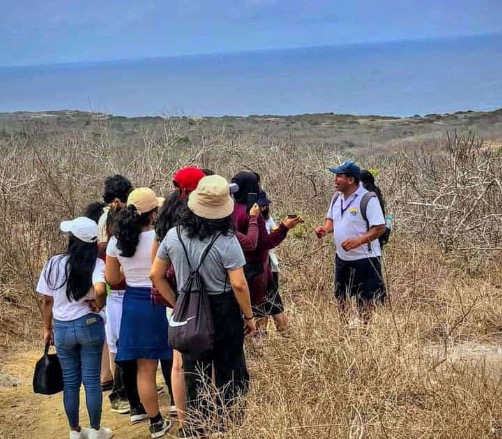 Tours isla de la plata